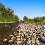 Bozeman MT 59718 - 25