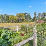 2829 Texas Way Street