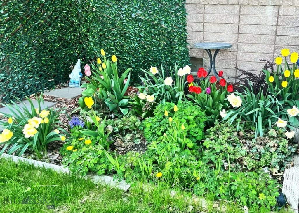 Bozeman MT 59718 - 24