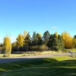 Bozeman MT 59718 - 25