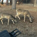 Bozeman MT 59715 - 15