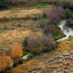 Belgrade MT 59714 - 9