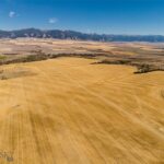 Belgrade MT 59714 - 5