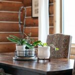 Belgrade MT 59714 - 3