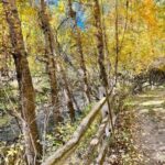 Bozeman MT 59715 - 25