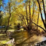 Bozeman MT 59715 - 4