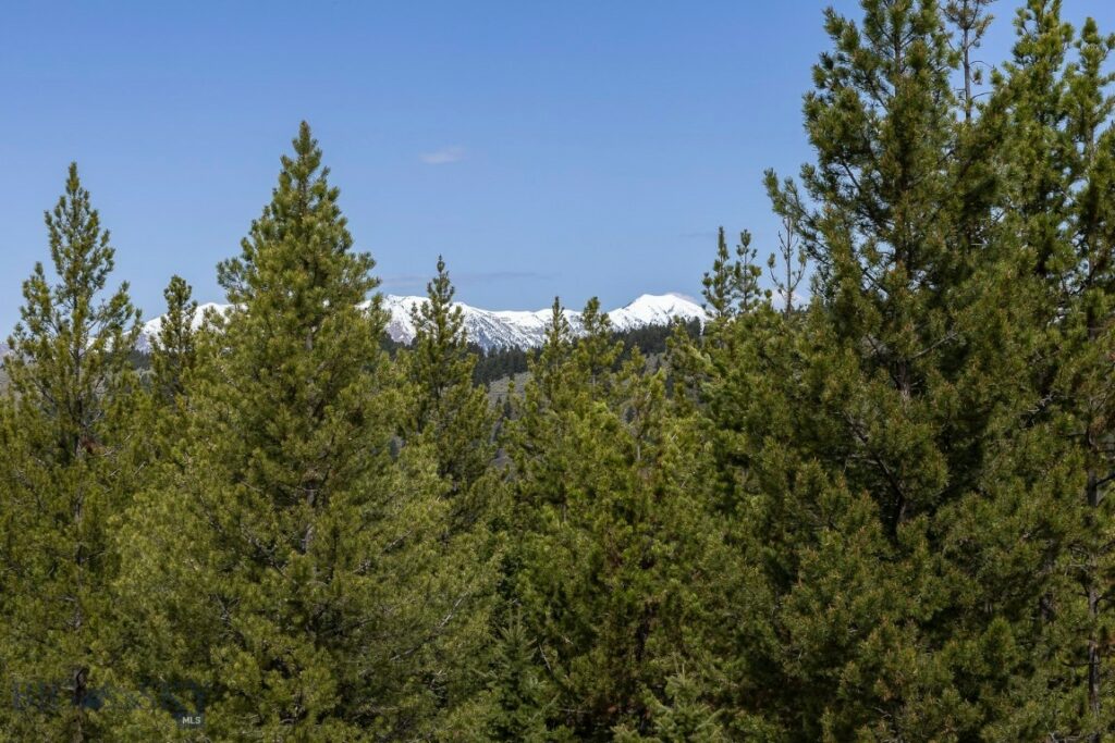 Bozeman MT 59715 - 11