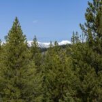 Bozeman MT 59715 - 11