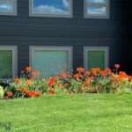 31 Cayuse Trail