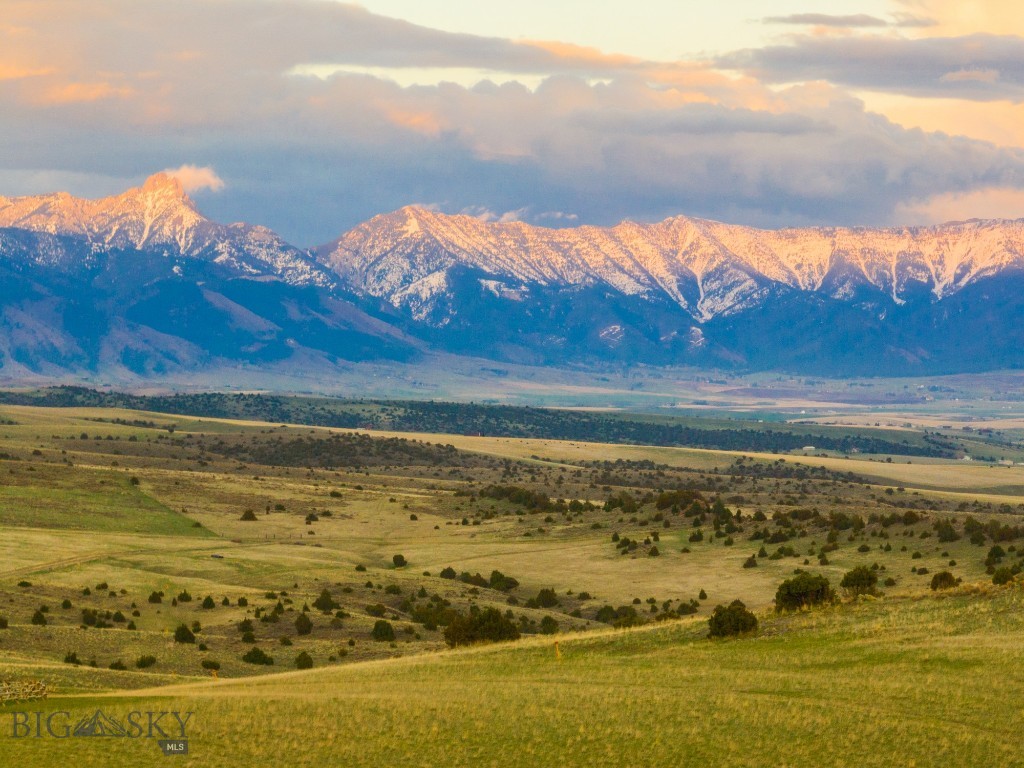 31 Crested Butte