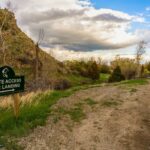 31 Crested Butte