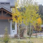 Big Sky MT 59716 - 1