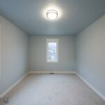 313 Spruce Cone