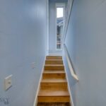 313 Spruce Cone