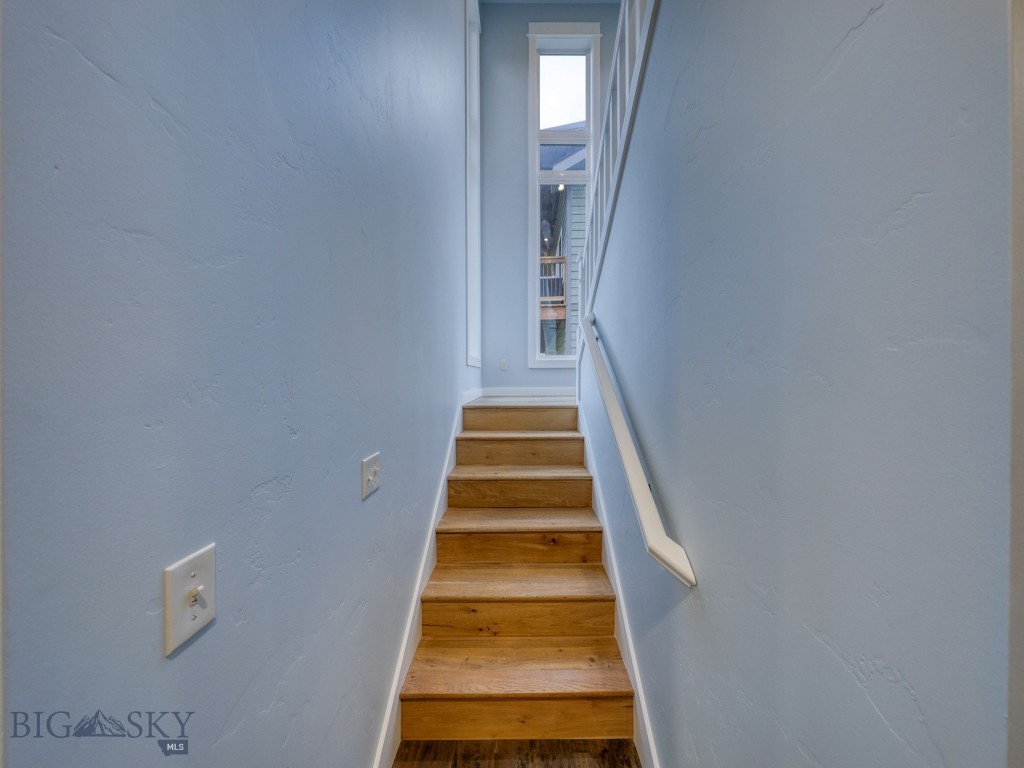 313 Spruce Cone