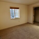 3156 Catkin
