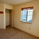 3156 Catkin