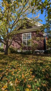 323 N Grand Avenue, Bozeman MT 59715