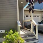 3321 N 27th N