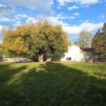 339 Mountain Lion Trail