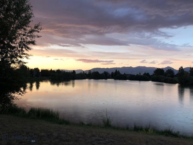 339 Mountain Lion Trail