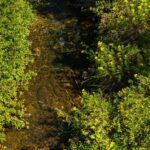 Bozeman MT 59715 - 5