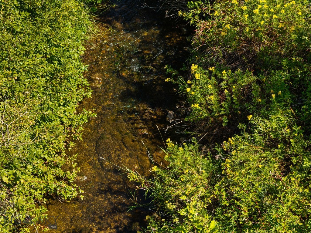 Bozeman MT 59715 - 5