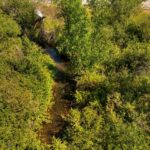 Bozeman MT 59715 - 4