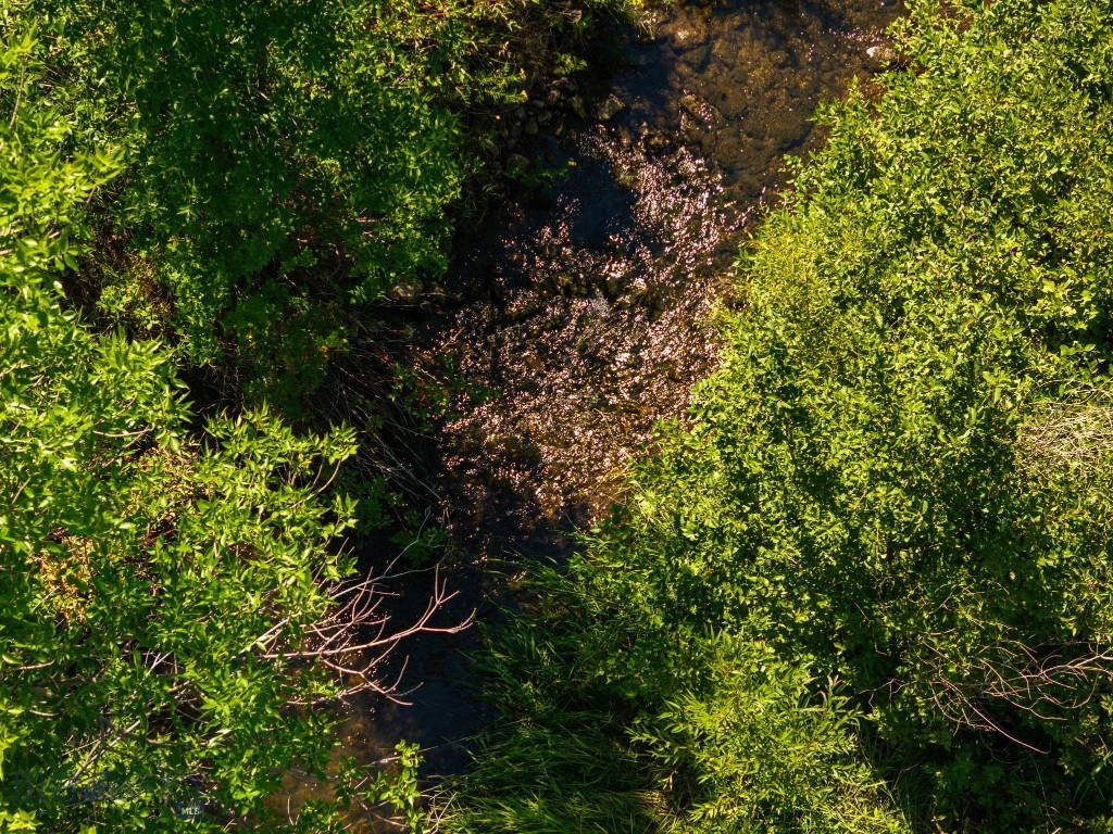 Bozeman MT 59715 - 5