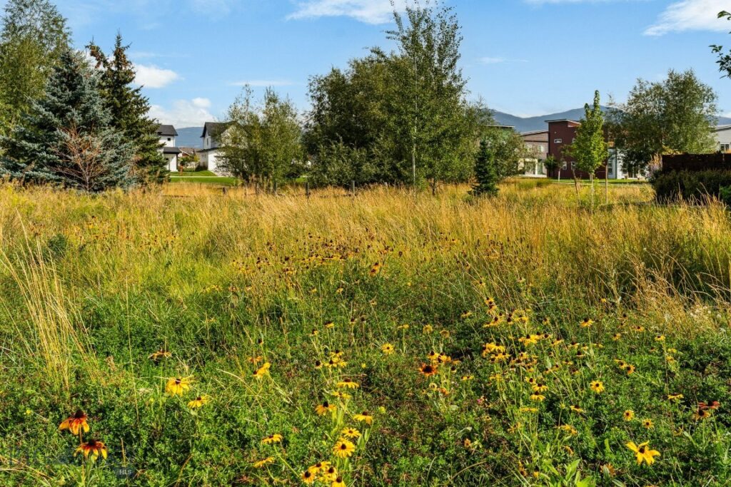 Bozeman MT 59718 - 24