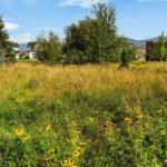 Bozeman MT 59718 - 24