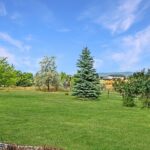 353 Little Wolf Road