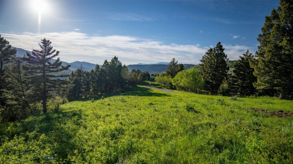3539 Claim Creek Road