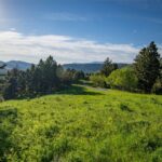 3539 Claim Creek Road