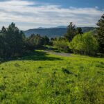 Bozeman MT 59718 - 6