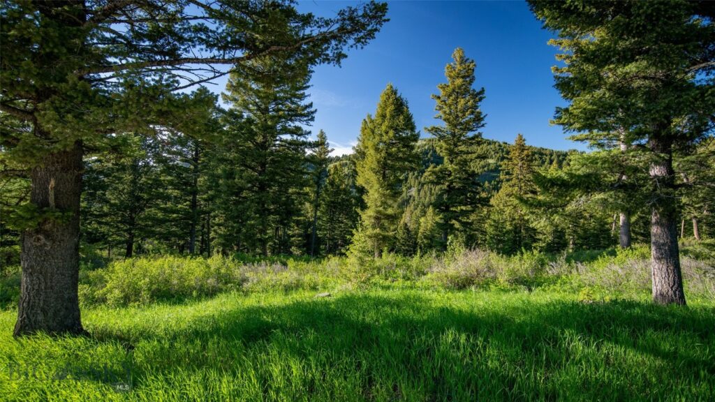 Bozeman MT 59718 - 2