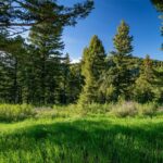 Bozeman MT 59718 - 2