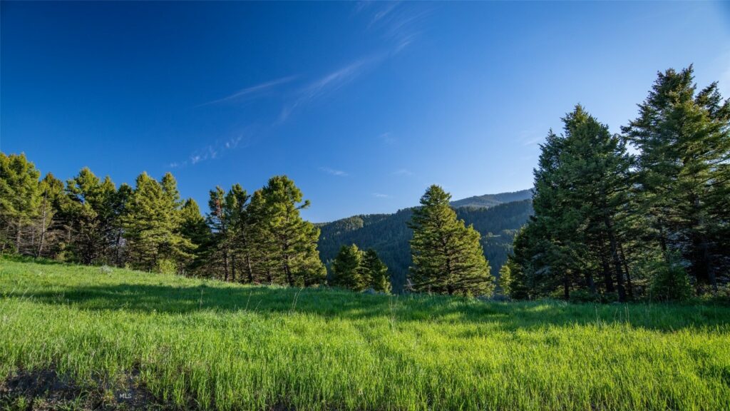 3539 Claim Creek Road