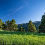 3539 Claim Creek Road