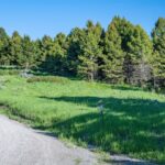 Bozeman MT 59718 - 3