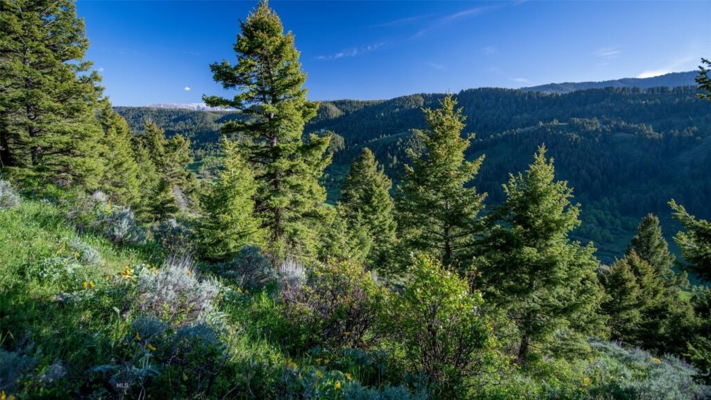 Bozeman MT 59718 - 4
