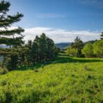 Bozeman MT 59718 - 5