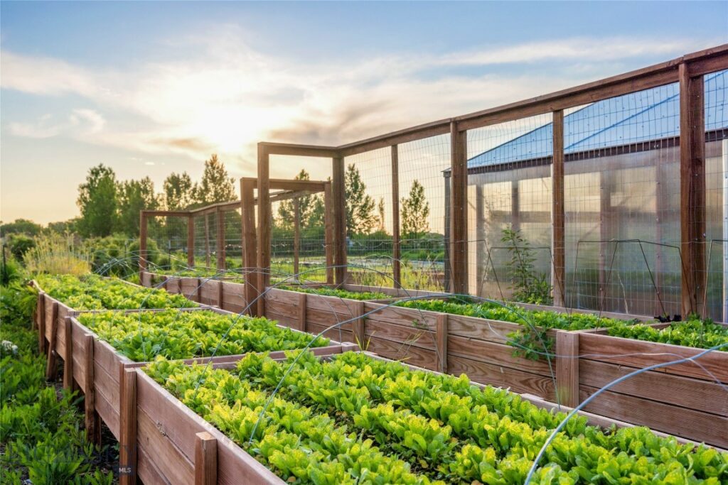 Belgrade MT 59714 - 6