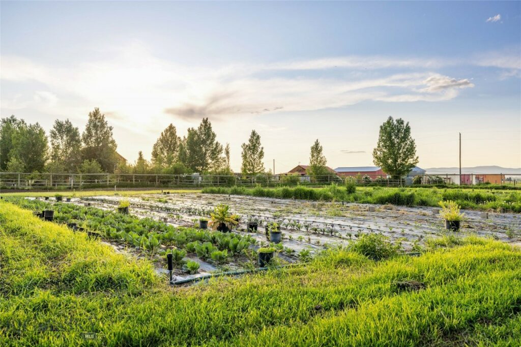 3573 Spain Bridge Road