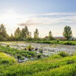 3573 Spain Bridge Road