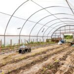 3573 Spain Bridge Road