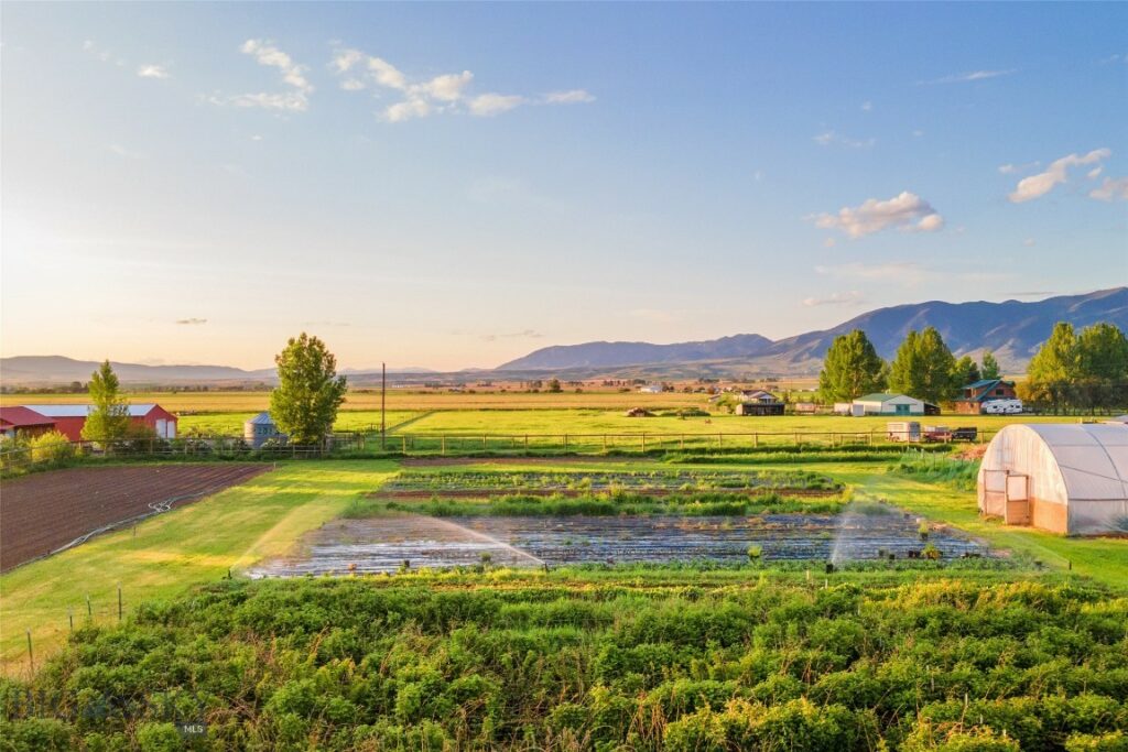 Belgrade MT 59714 - 9