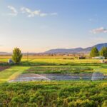 Belgrade MT 59714 - 9