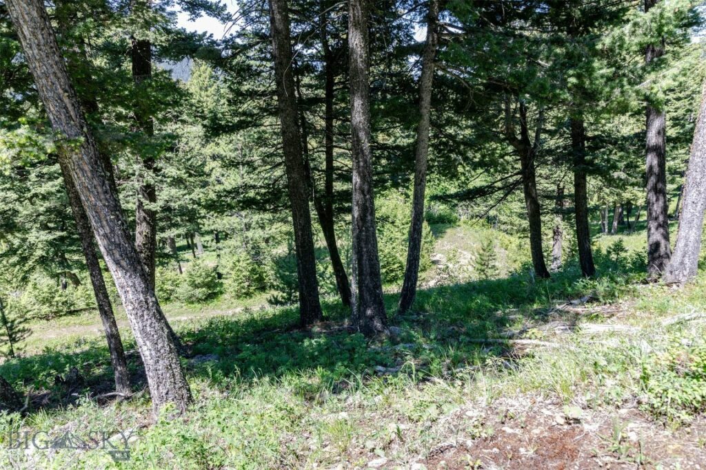 3600 Cottonwood Ranch Trail