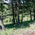 3600 Cottonwood Ranch Trail